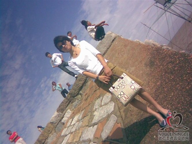 没有玫瑰的花点